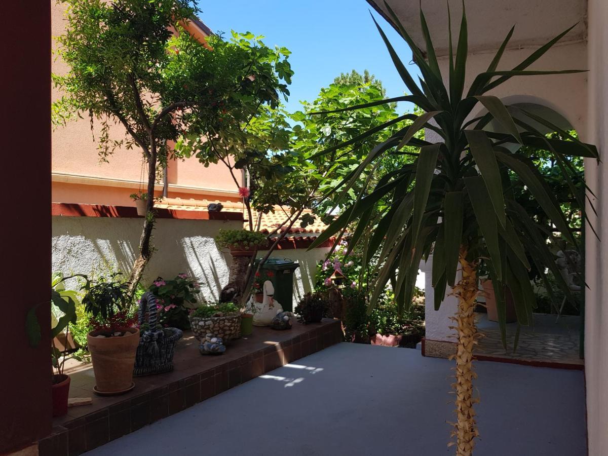 Apartments Varga 塞尼 外观 照片