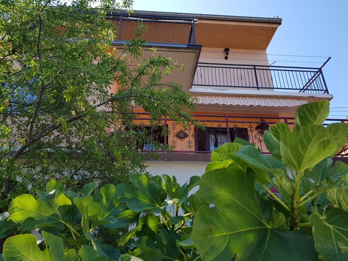 Apartments Varga 塞尼 外观 照片
